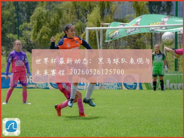 世界杯最新动态:黑马球队表现与未来赛程_20260526125700